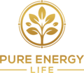 Pure Life Energy from CH of E-Commerce